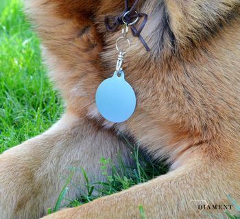 Kółko blaszka dla psa, kota niebieska 3,8 cm Grawer gratis Kółko light blue XL. Blaszka w formie adresówki, identyfikatora dla psa (2).JPG